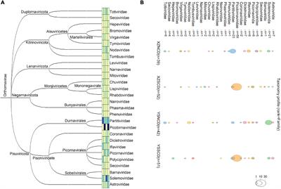 RNA Virus Diversity in Birds and <mark class="highlighted">Small Mammals</mark> From Qinghai–Tibet Plateau of China